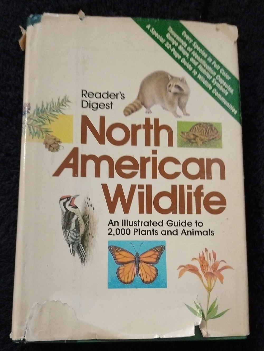 North American Wildlife - Illustrated Guide (White)